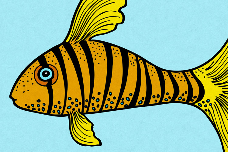 Illustrated Fish Vector Pack 1 | Design Panoply