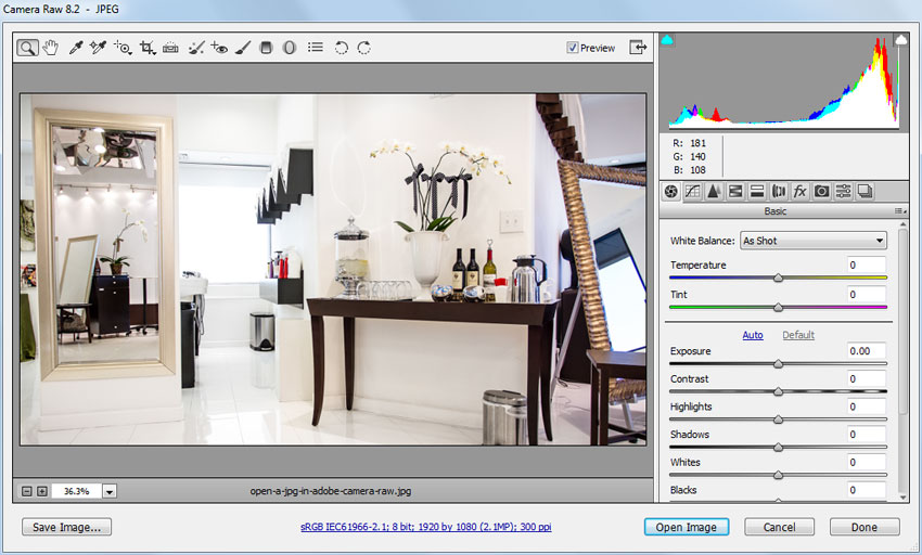 open jpg in camera raw