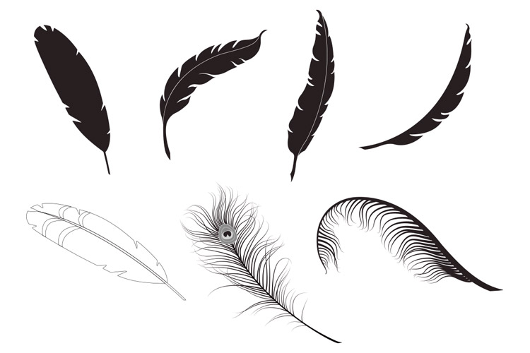 Download Feather Vector Pack 1 | Design Panoply