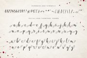 Emellie Script Font