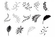 Floral Vector Pack 1