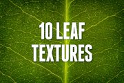 Leaf Textures Pack 1