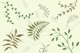Floral Vector Pack 1