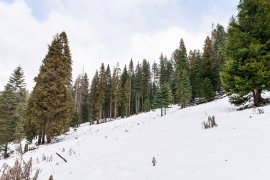Snowy Alpine Incline