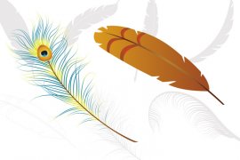 Feather Vector Pack 1