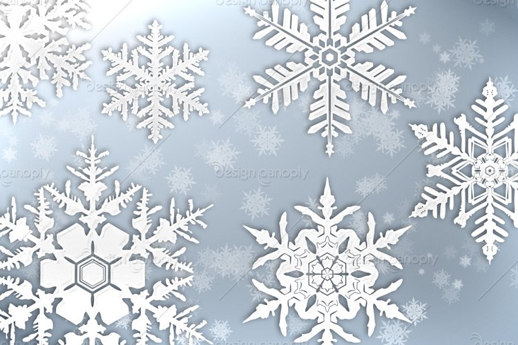 Snowflake Brushes for Photoshop